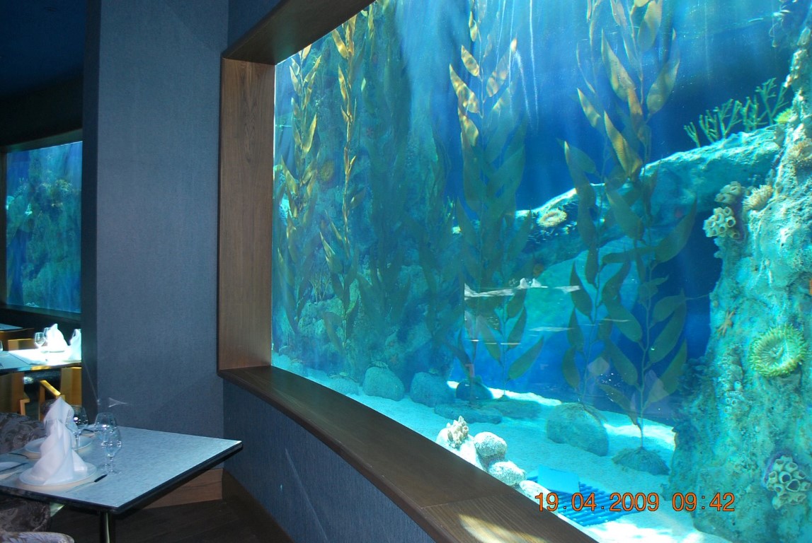 imagini hotel MARDAN PALACE